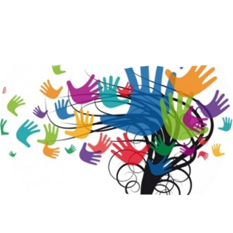 Disagio e disabilità nella scuola secondaria di II grado: strategie educative e didattiche per la gestione della classe e la promozione dell’inclusione scolastica