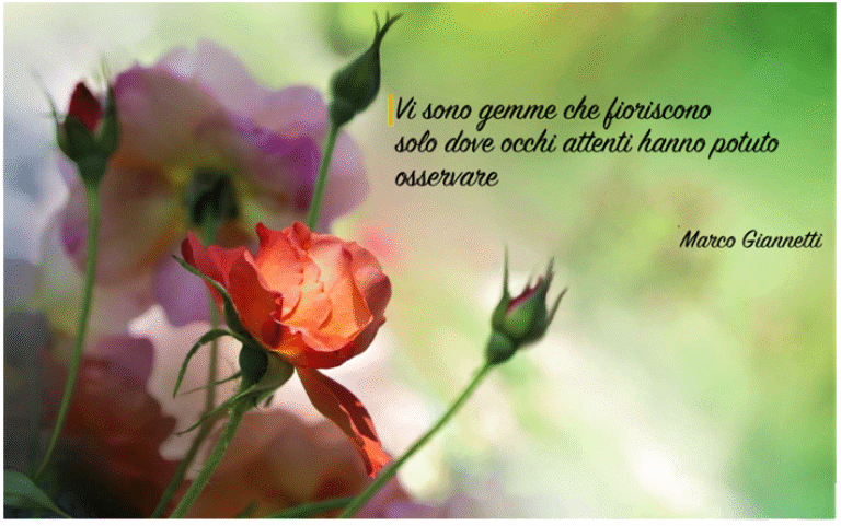 EARLY EDUCATION – Linee pedagogiche per il Sistema integrato 0-6 anni